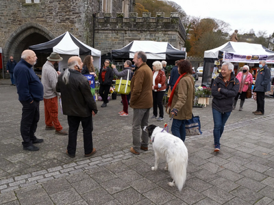 Missing MP demo in Tavistock