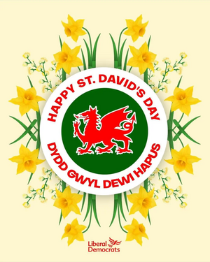 ST Davids